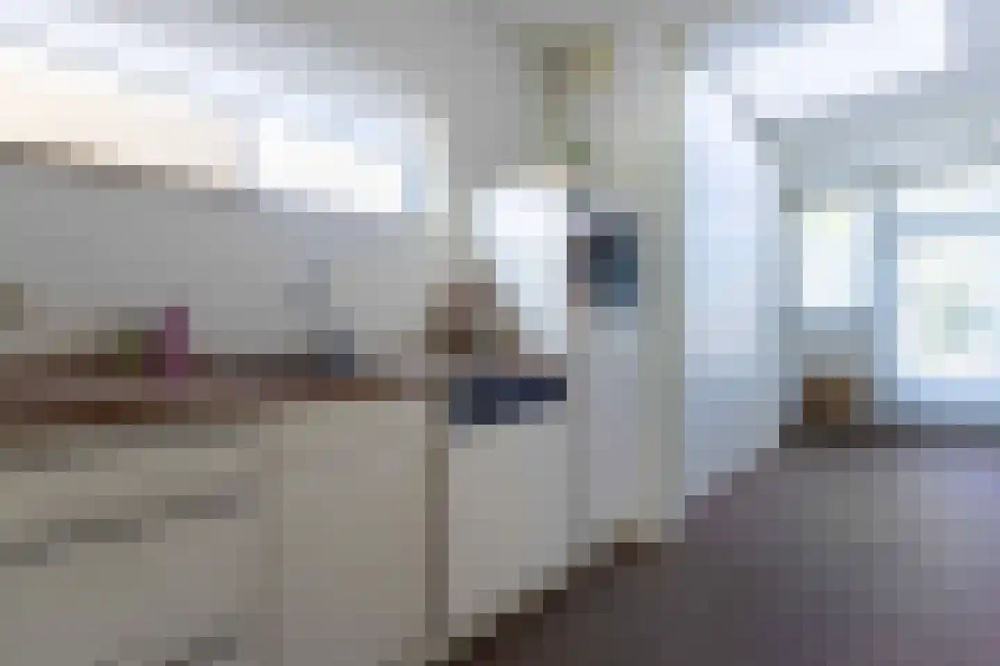 Aleidisstraat 9 Maastricht thumbnail 15
