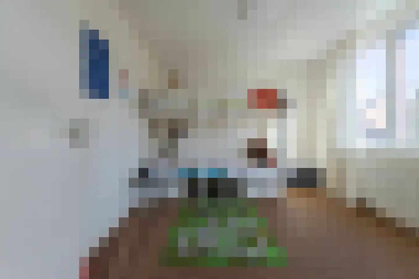 Aleidisstraat 9 Maastricht thumbnail 19