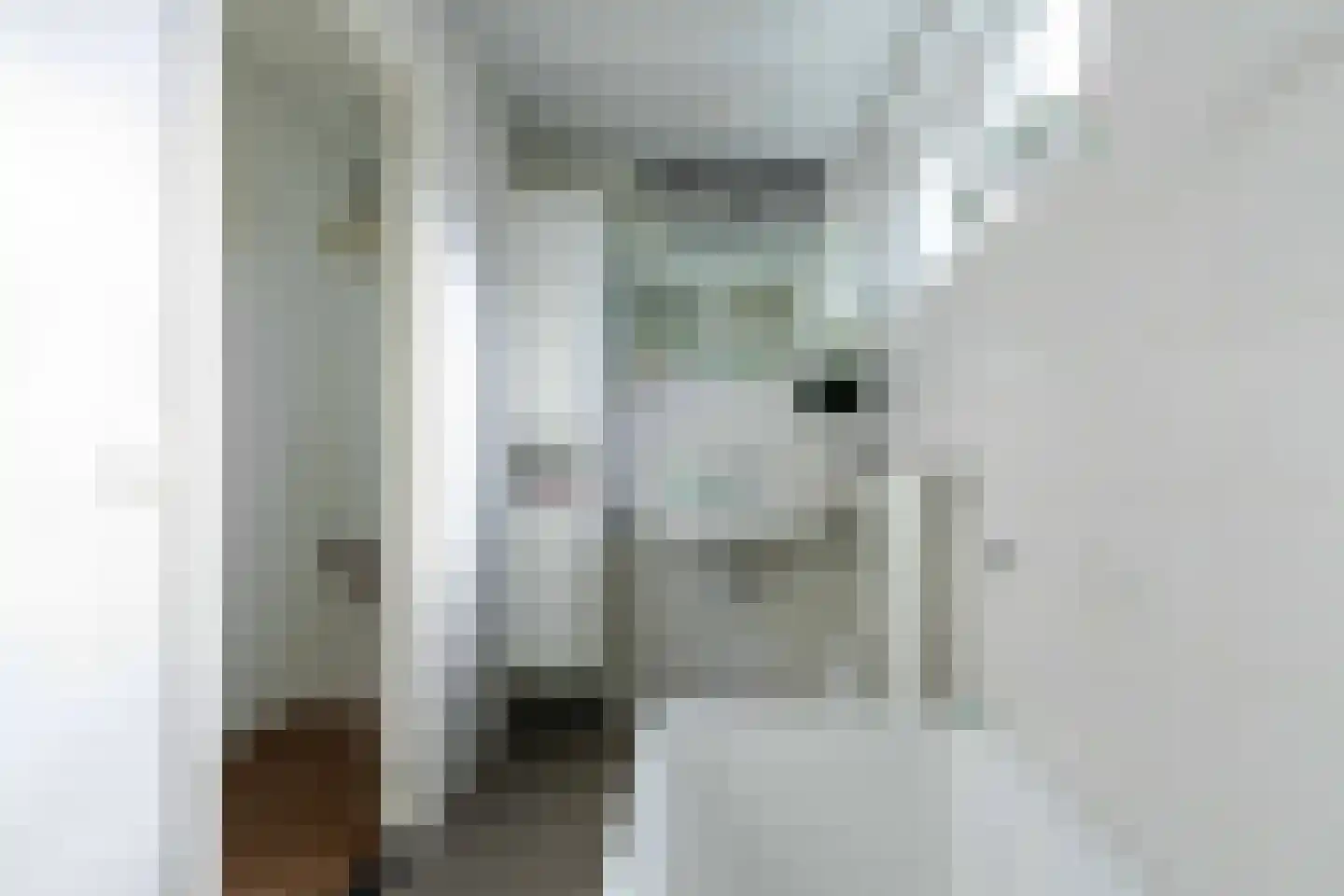 Aleidisstraat 9 Maastricht thumbnail 26