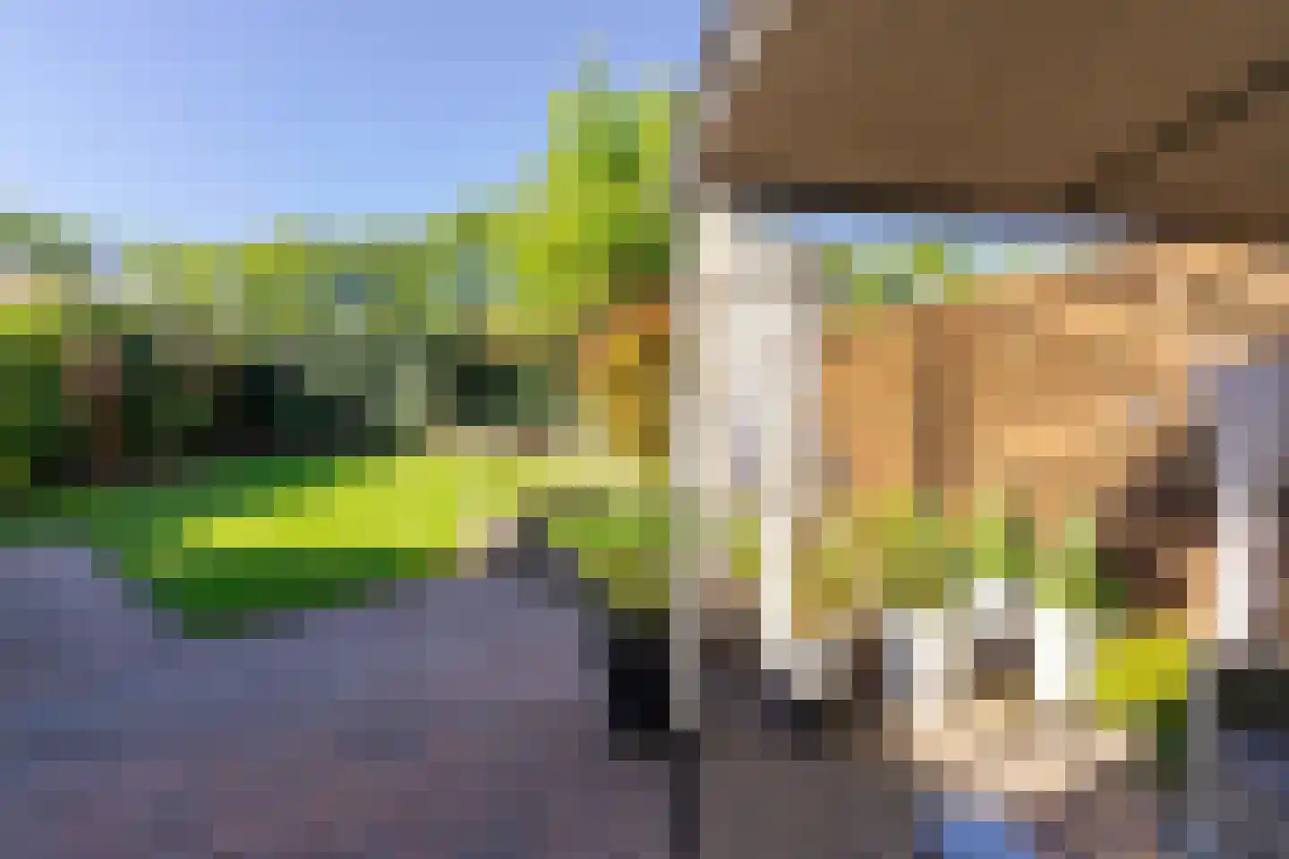 Aleidisstraat 9 Maastricht thumbnail 30