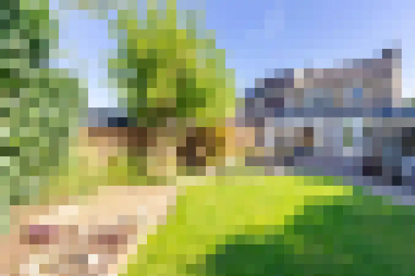 Aleidisstraat 9 Maastricht thumbnail 32