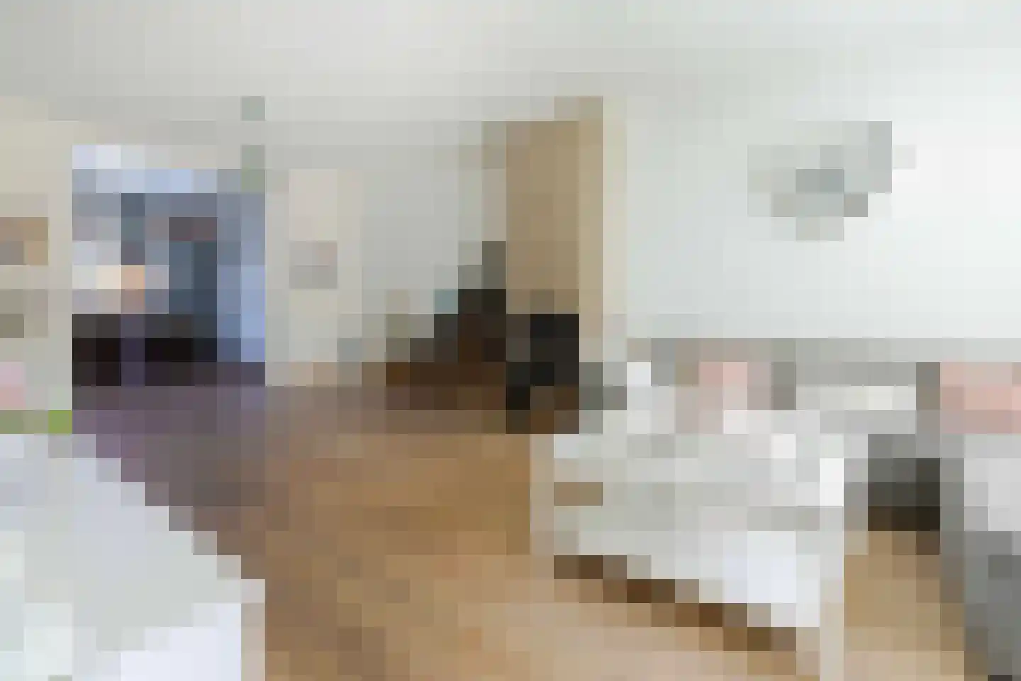 Aleidisstraat 9 Maastricht thumbnail 4