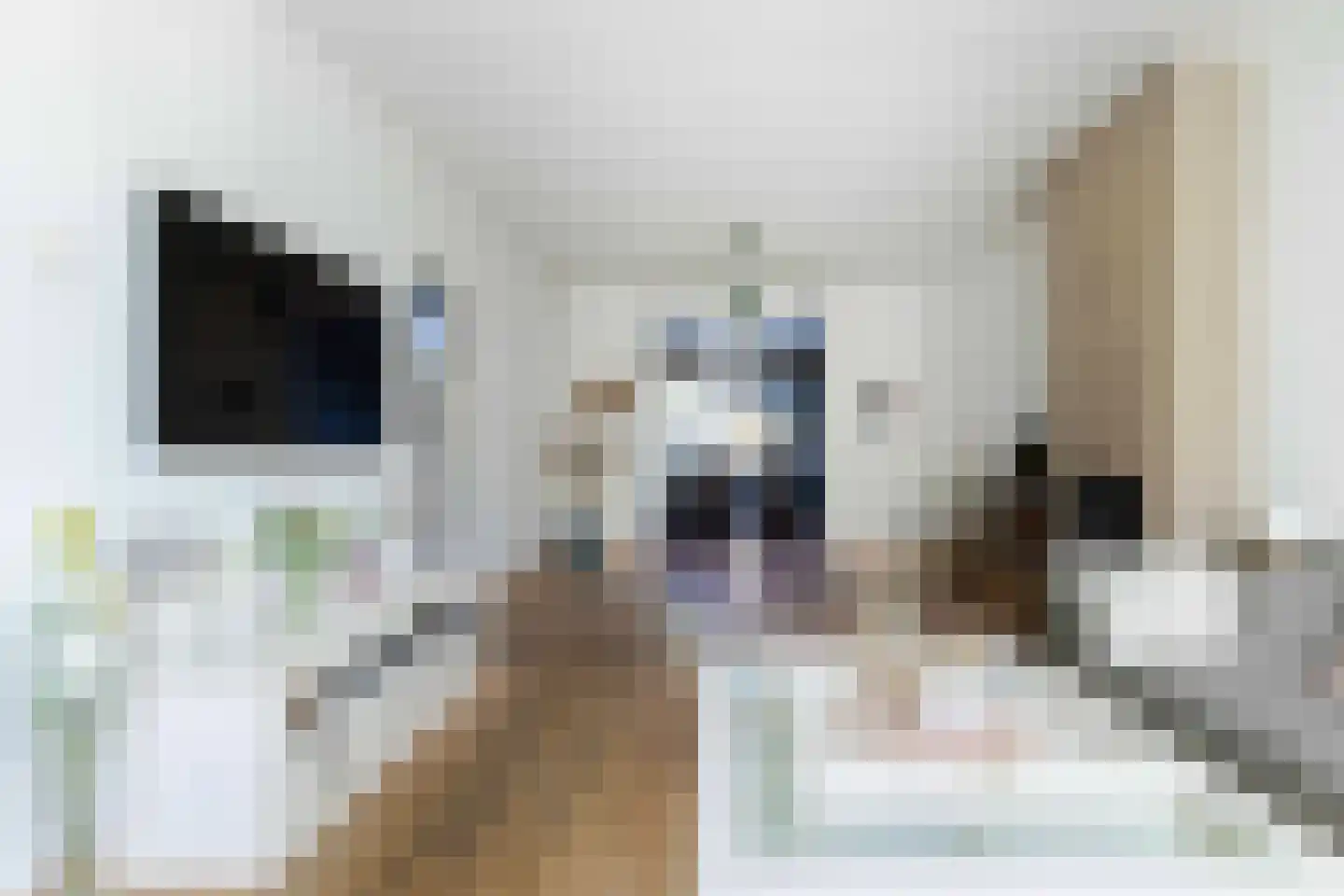 Aleidisstraat 9 Maastricht thumbnail 6