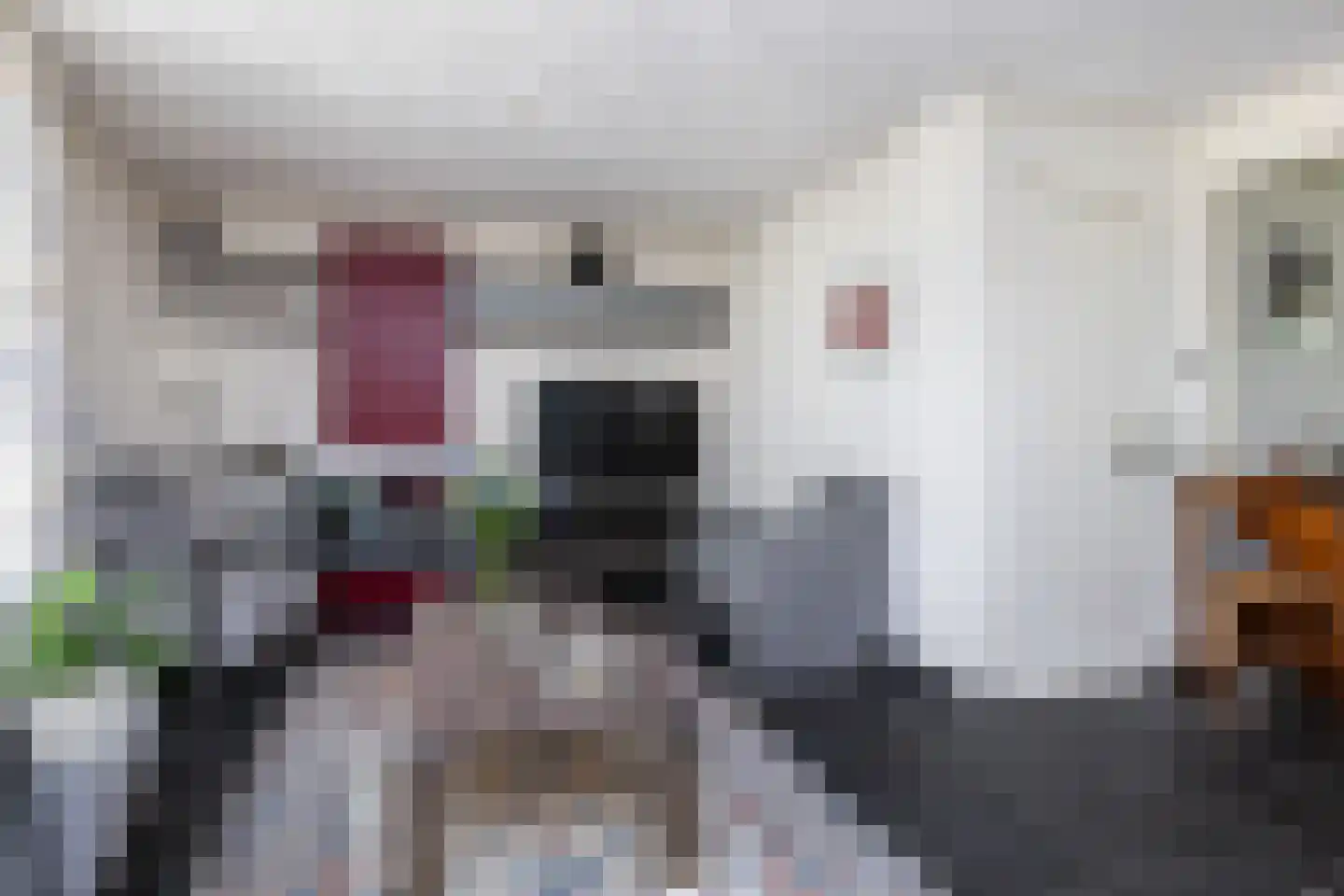 Aleijd van Puttenstraat 15 Stad aan 't Haringvliet thumbnail 10