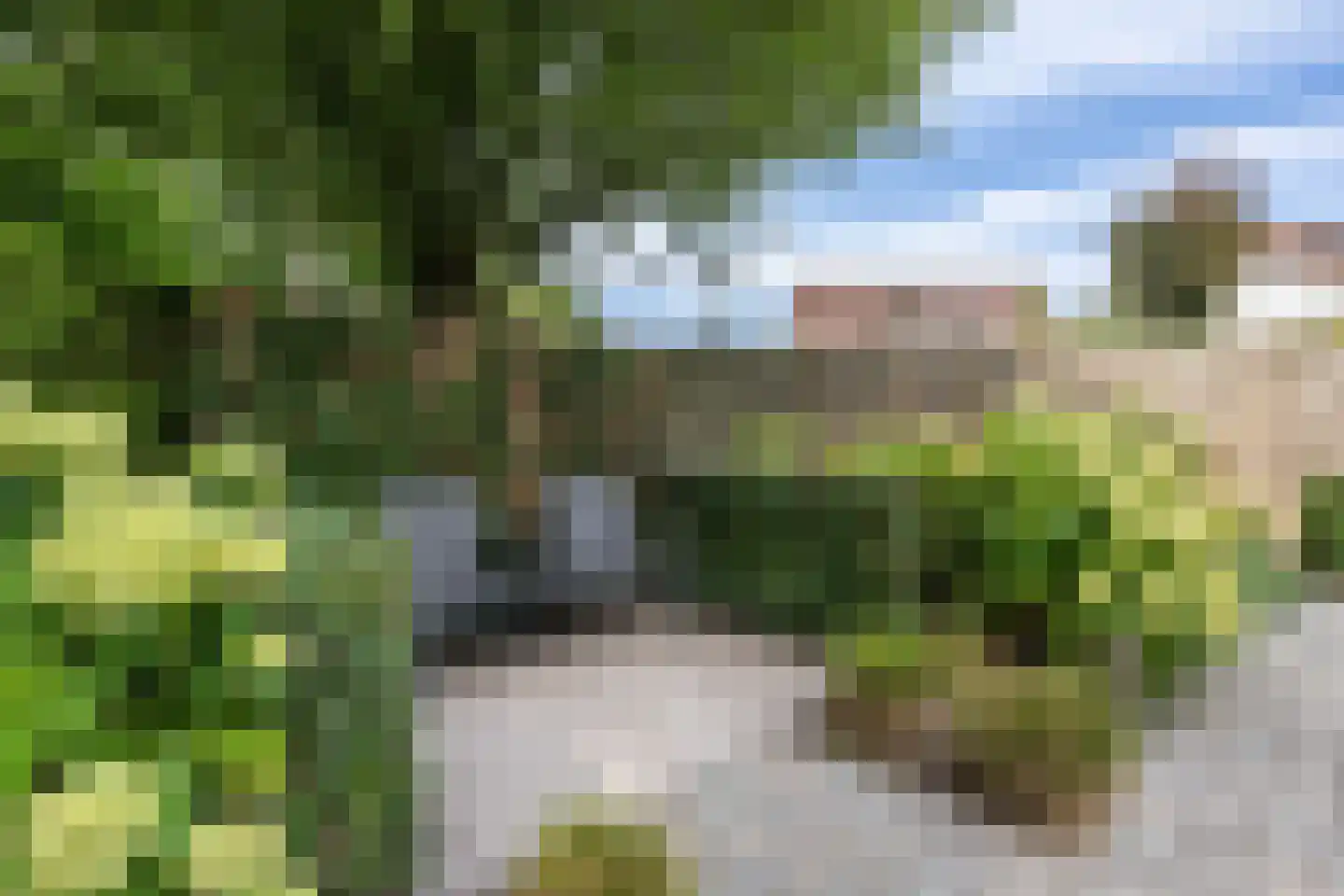 Aleijd van Puttenstraat 15 Stad aan 't Haringvliet thumbnail 32