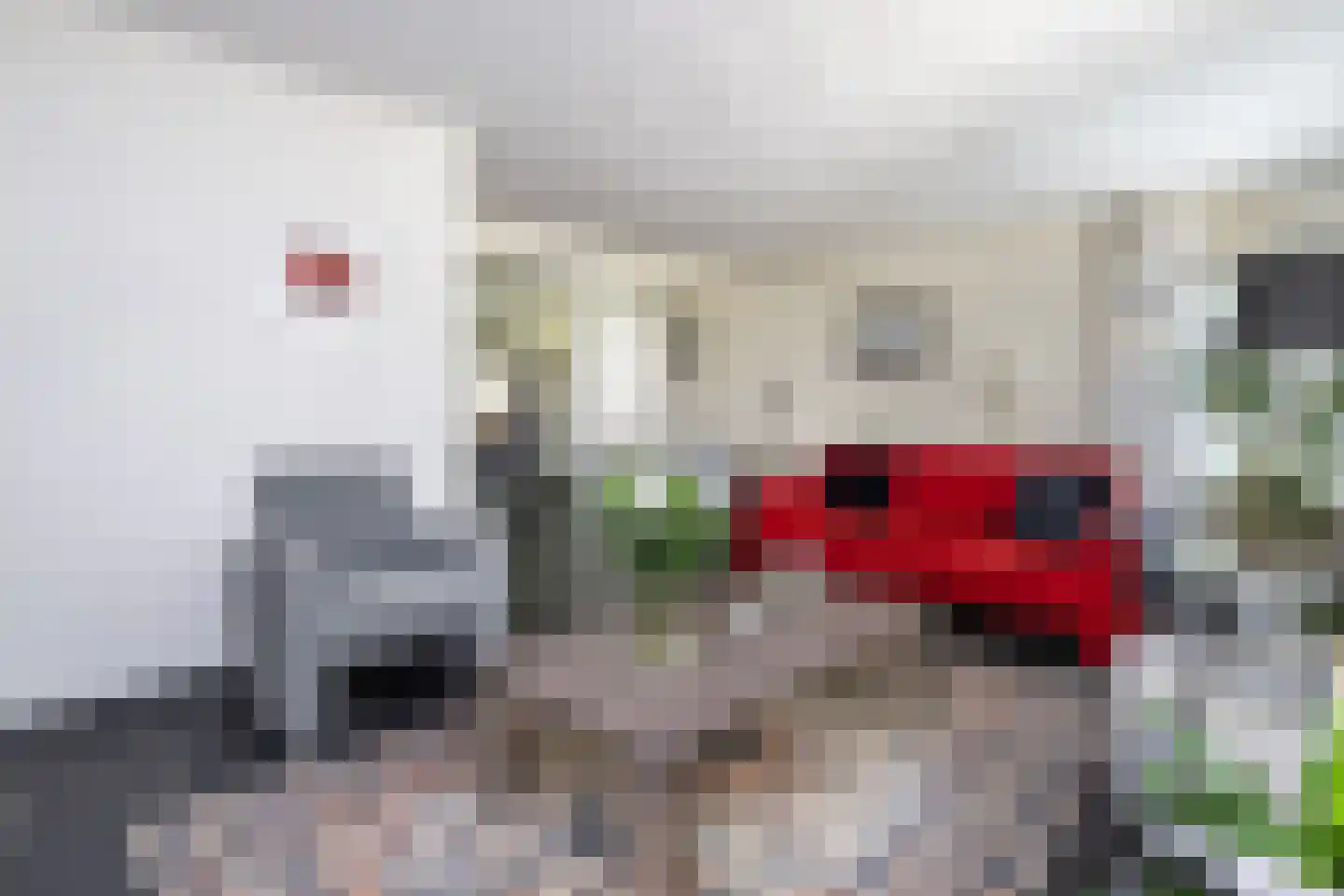 Aleijd van Puttenstraat 15 Stad aan 't Haringvliet thumbnail 4