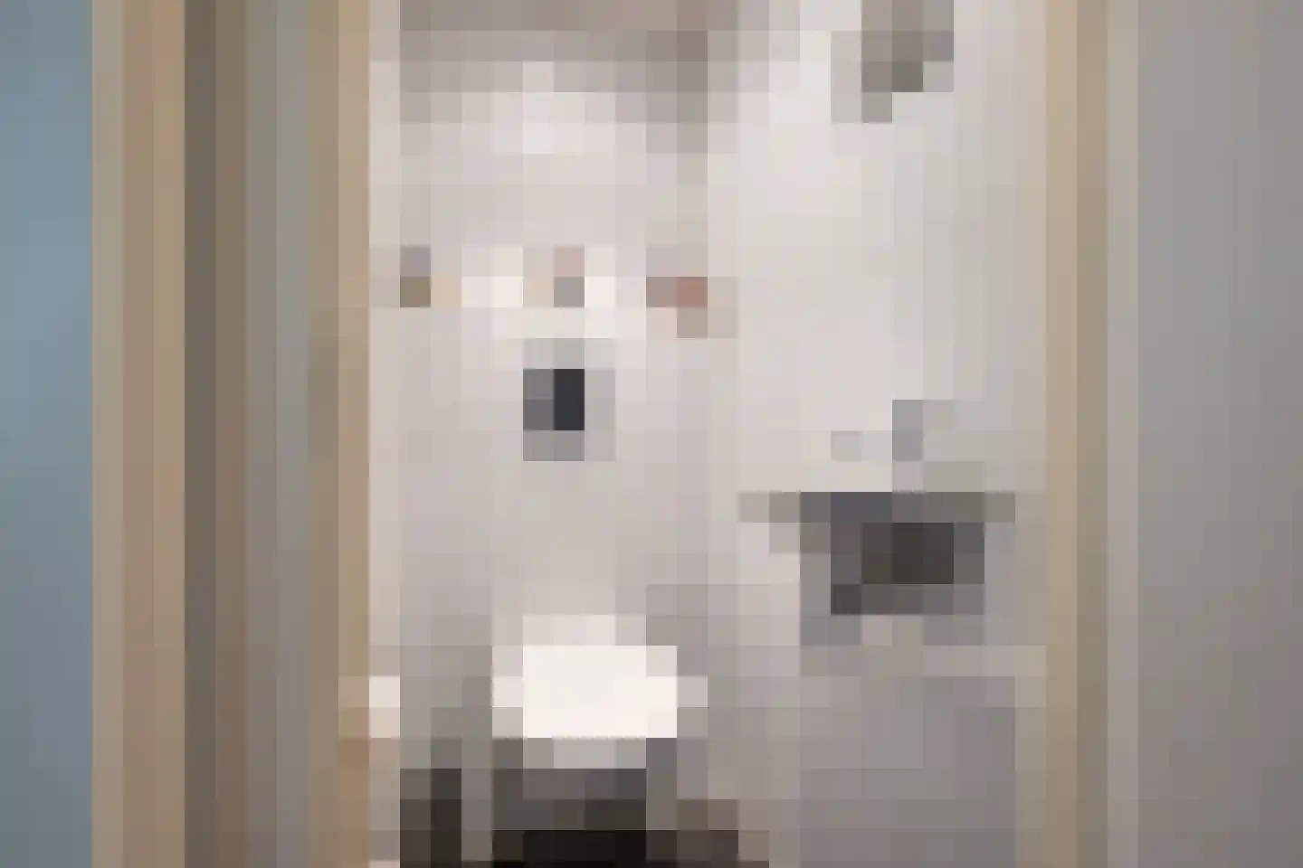 Aleijd van Puttenstraat 15 Stad aan 't Haringvliet thumbnail 7