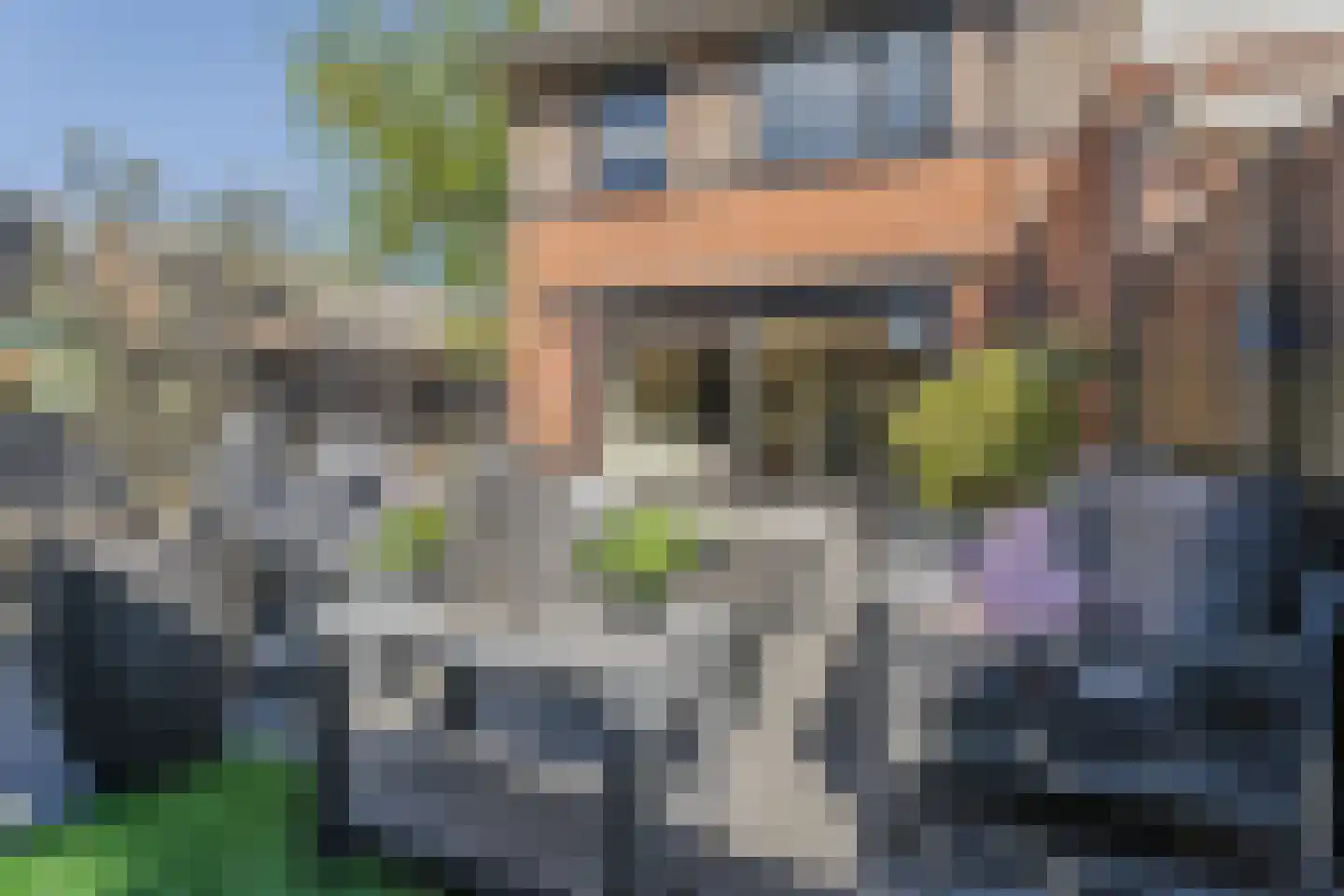 Aleijd van Strienhof 23 Poortugaal thumbnail 31