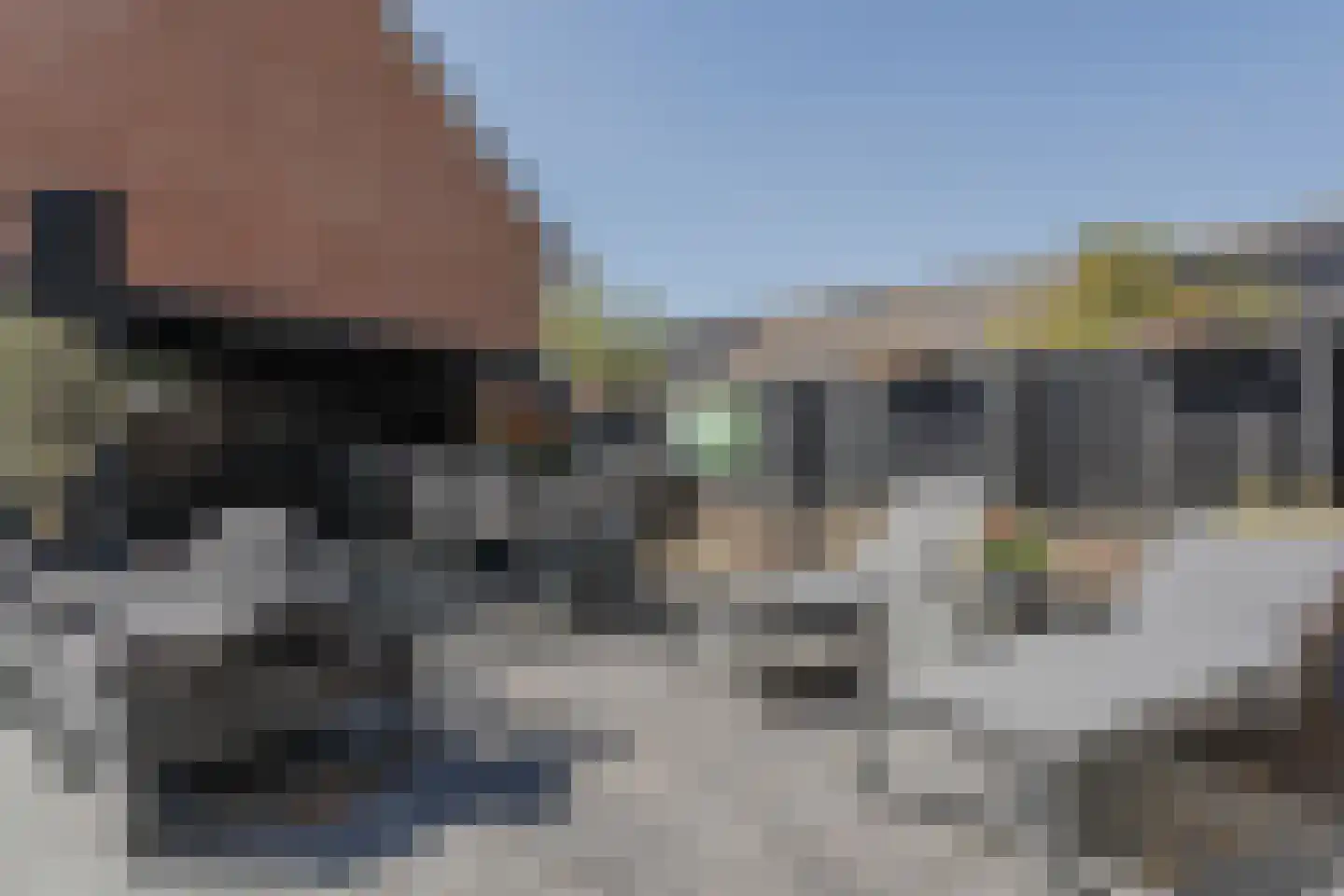 Aleijd van Strienhof 23 Poortugaal thumbnail 33