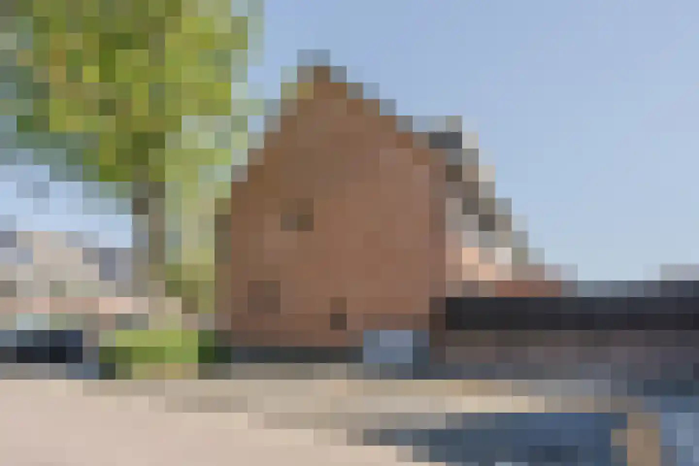 Aleijd van Strienhof 23 Poortugaal thumbnail 36