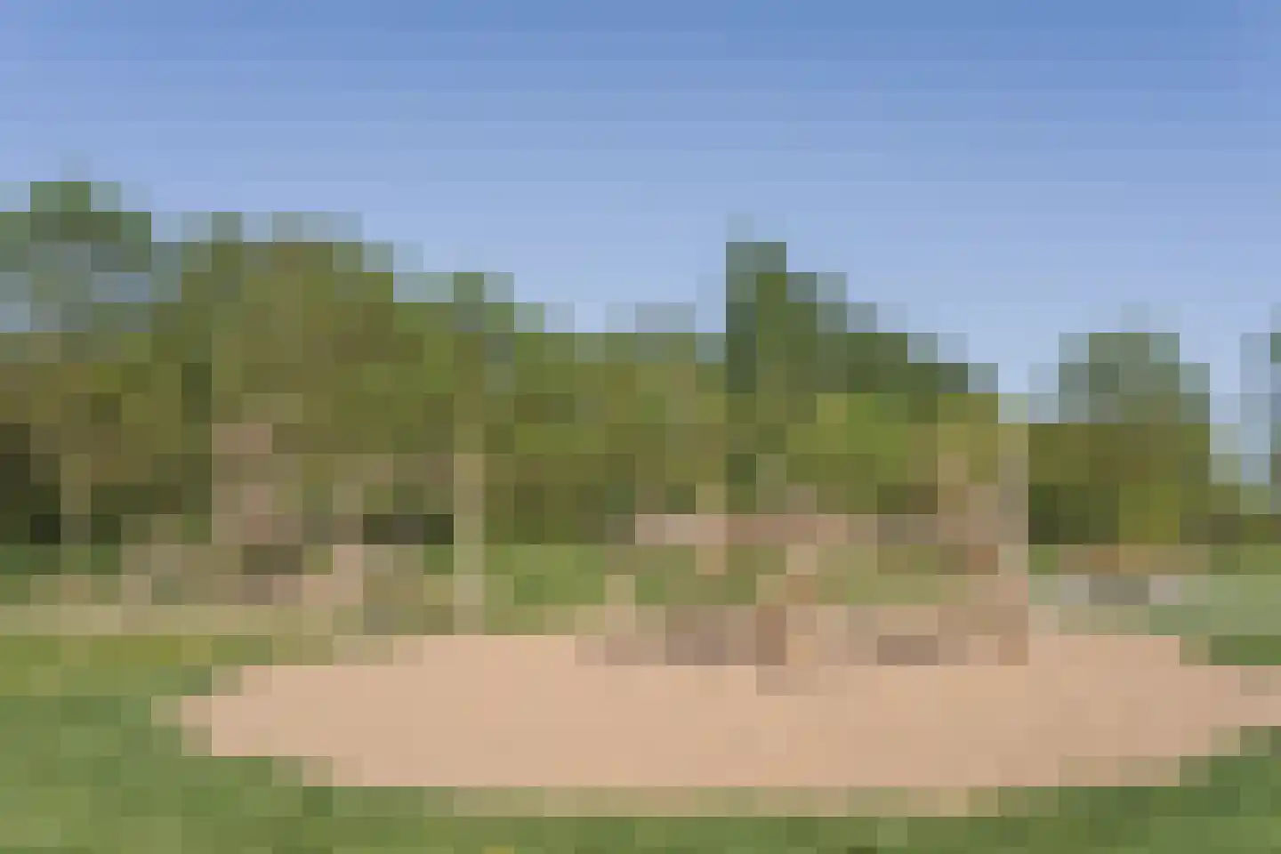 Aleijd van Strienhof 23 Poortugaal thumbnail 37