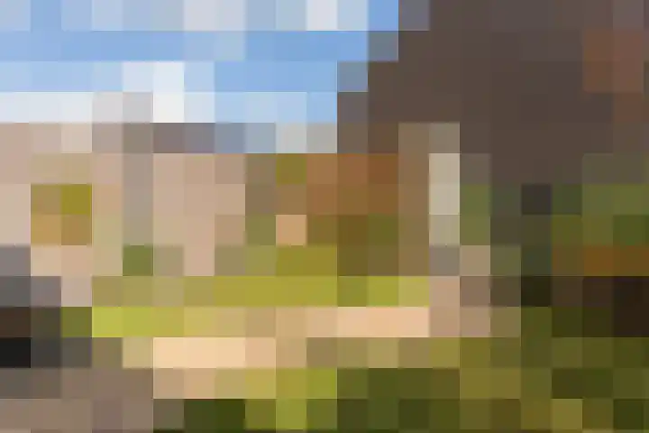 Aleksandr Prochorovstraat 51 Almere thumbnail 37