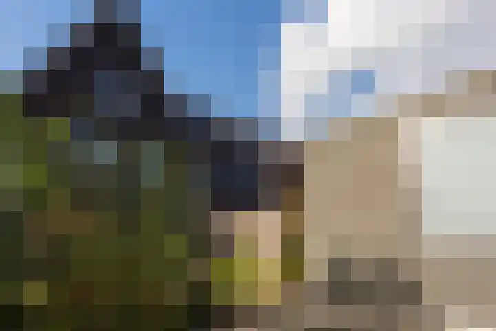 Aleksandr Prochorovstraat 51 Almere thumbnail 38