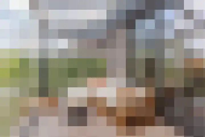 Aleksandr Prochorovstraat 51 Almere thumbnail 39