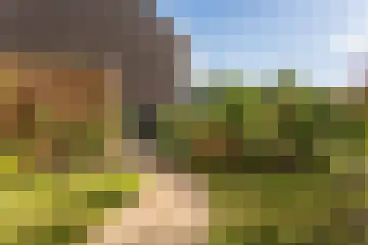 Aleksandr Prochorovstraat 51 Almere thumbnail 8
