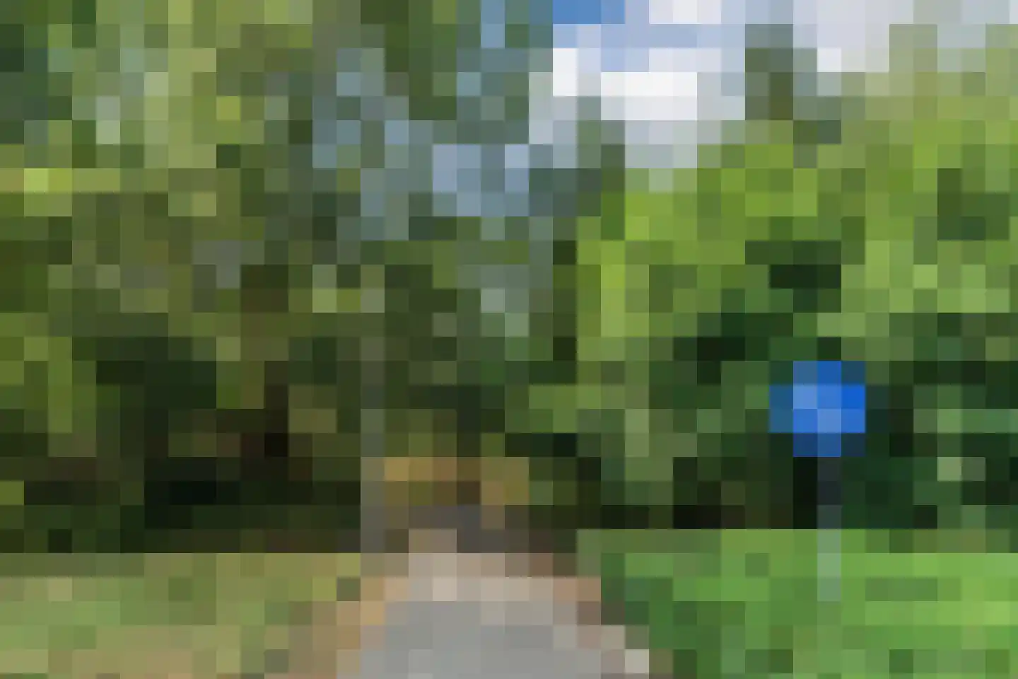 Alençonlaan 6 Eindhoven thumbnail 43