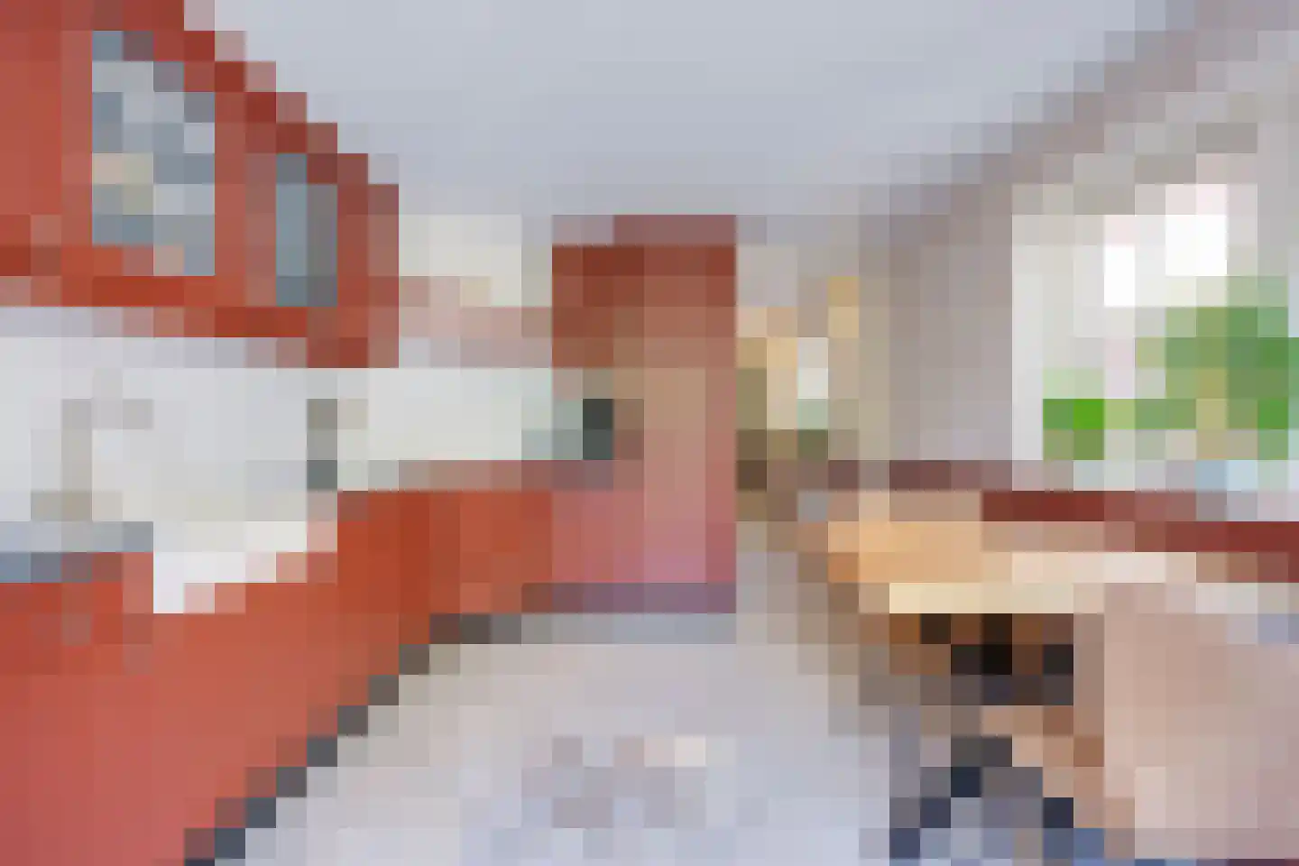 Alendorperweg 16 Vleuten thumbnail 17