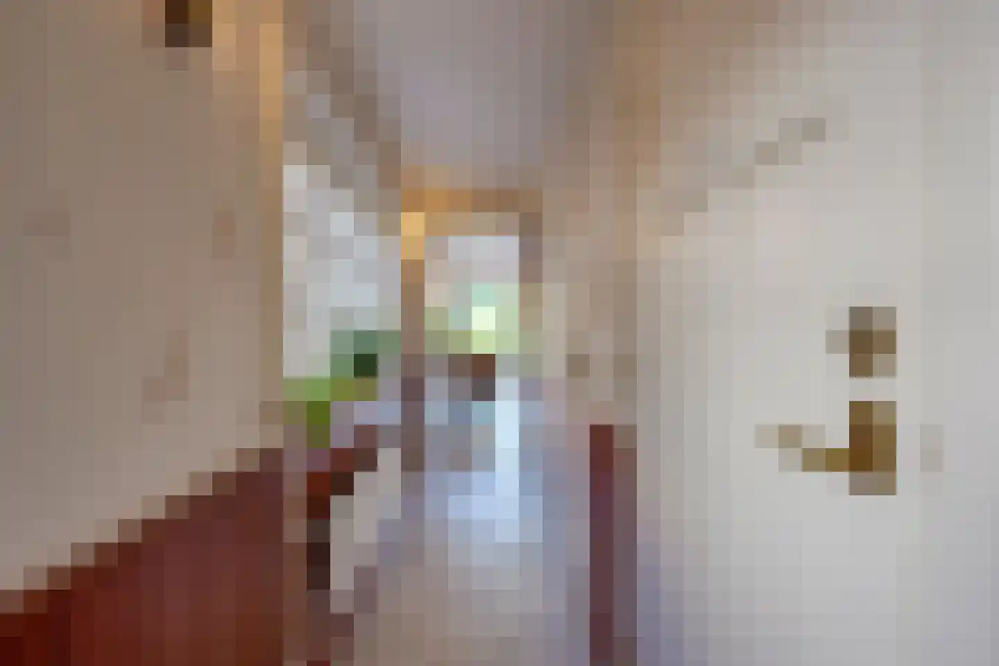 Alendorperweg 16 Vleuten thumbnail 18