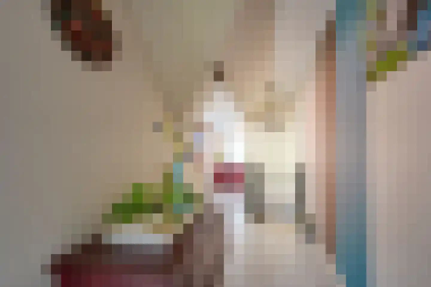 Alendorperweg 16 Vleuten thumbnail 31