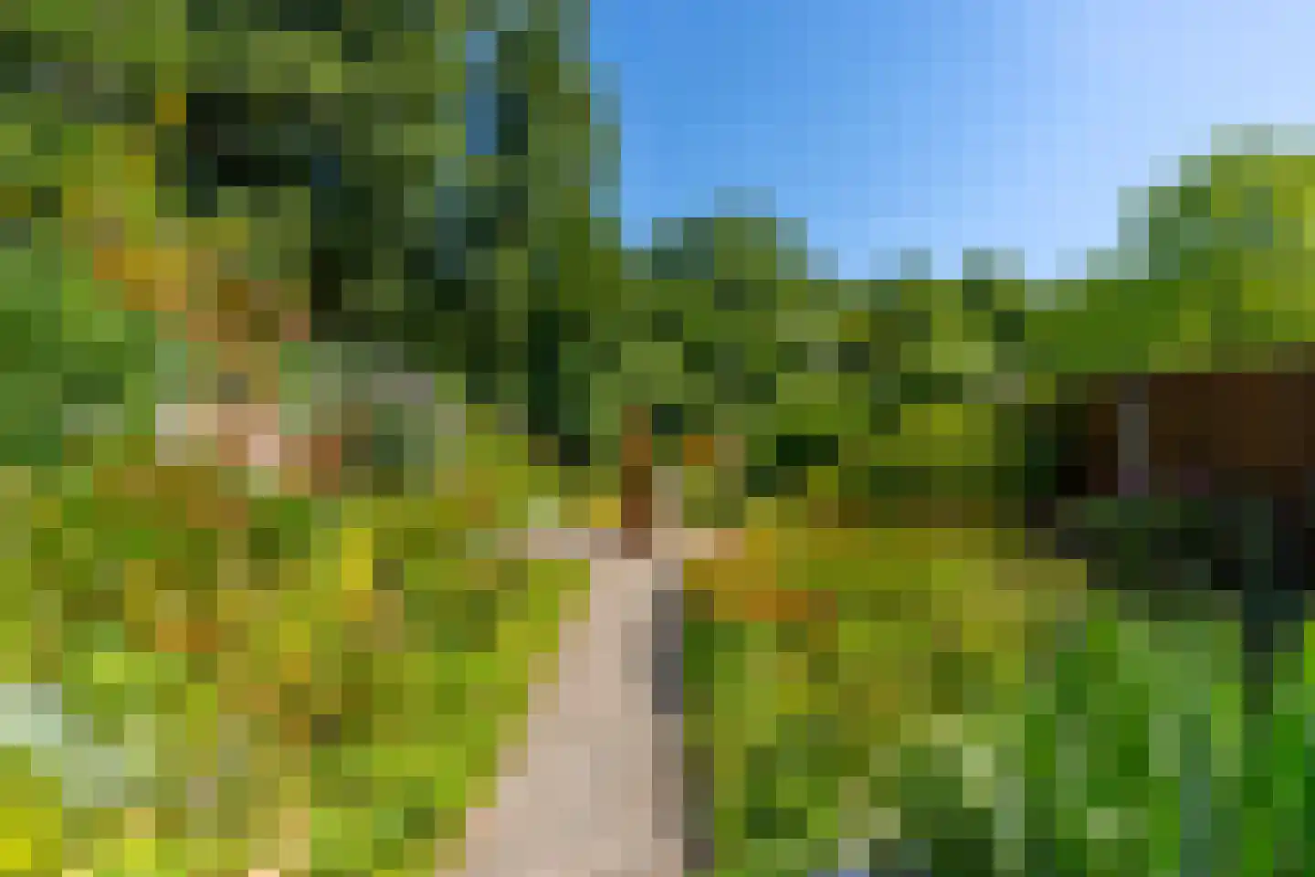Alendorperweg 16 Vleuten thumbnail 41