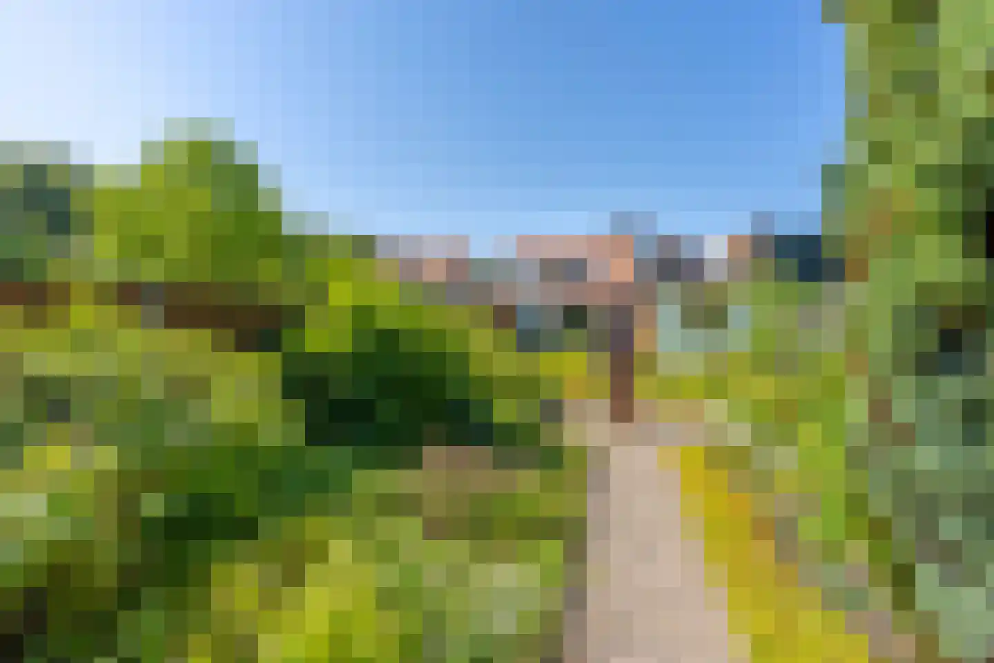 Alendorperweg 16 Vleuten thumbnail 46
