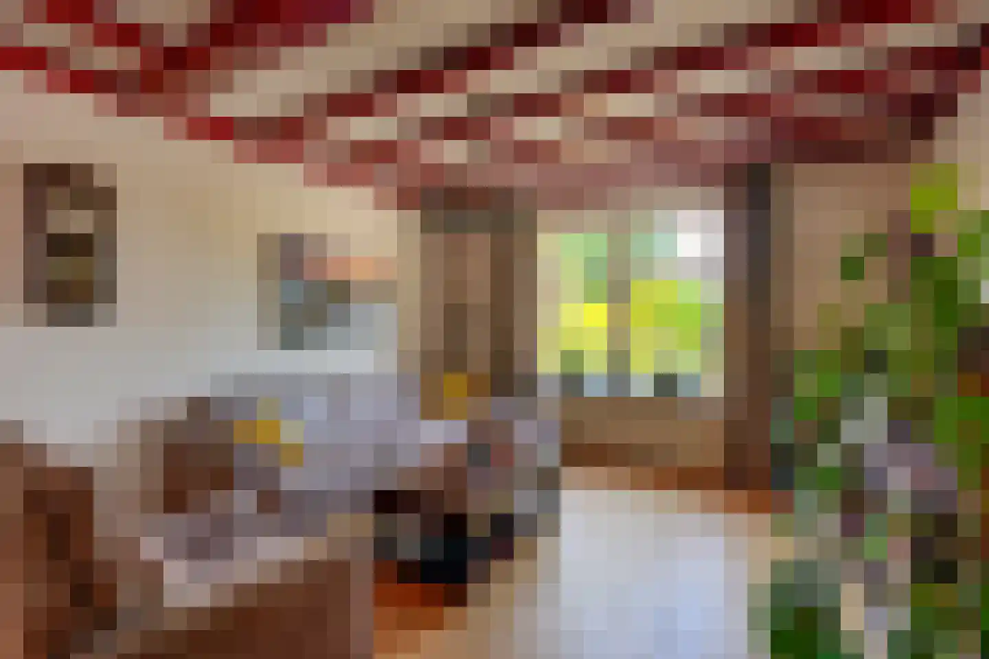 Alendorperweg 16 Vleuten thumbnail 9