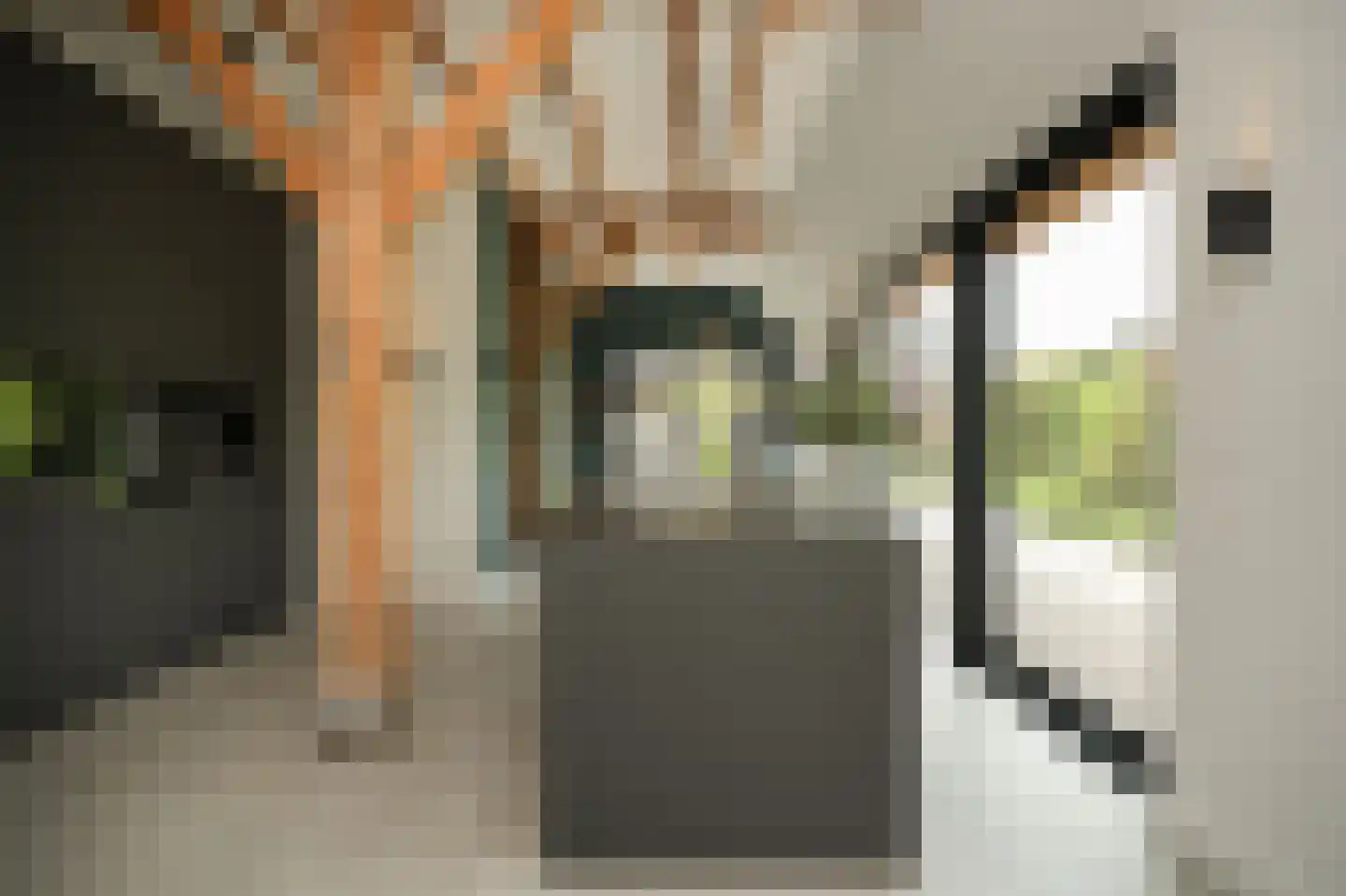 Alendorperweg 37 Vleuten thumbnail 12