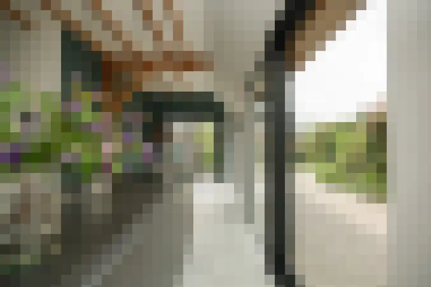 Alendorperweg 37 Vleuten thumbnail 15