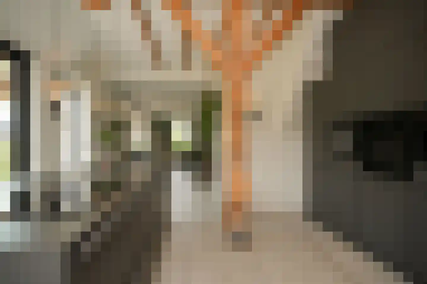 Alendorperweg 37 Vleuten thumbnail 16