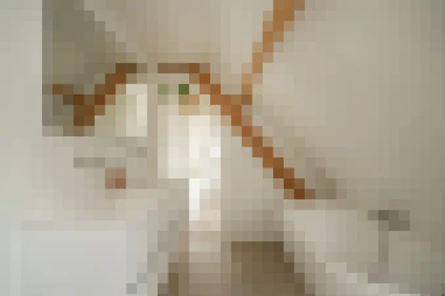 Alendorperweg 37 Vleuten thumbnail 34