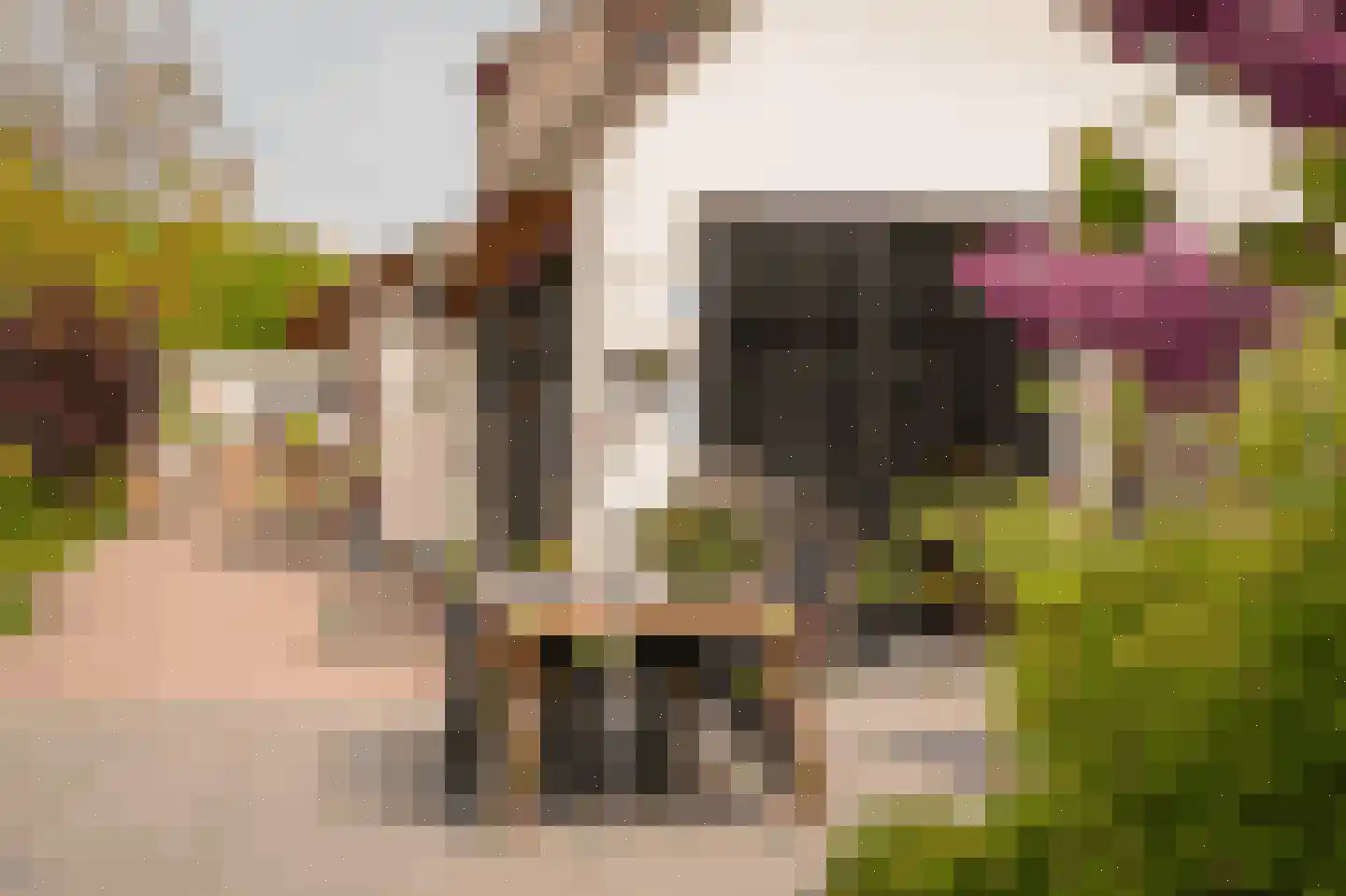 Alendorperweg 37 Vleuten thumbnail 36