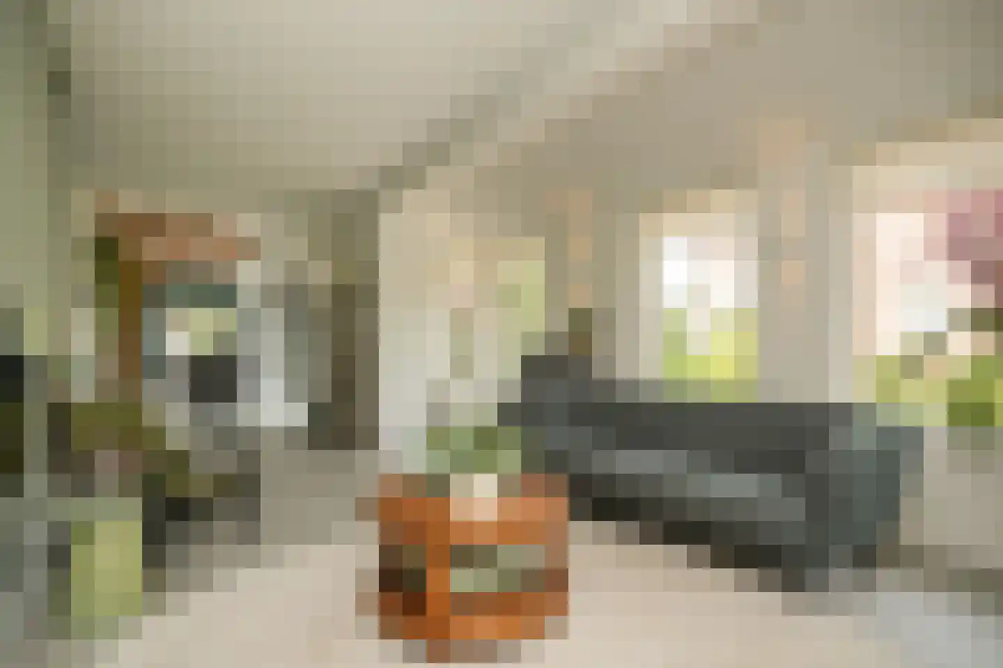 Alendorperweg 37 Vleuten thumbnail 4