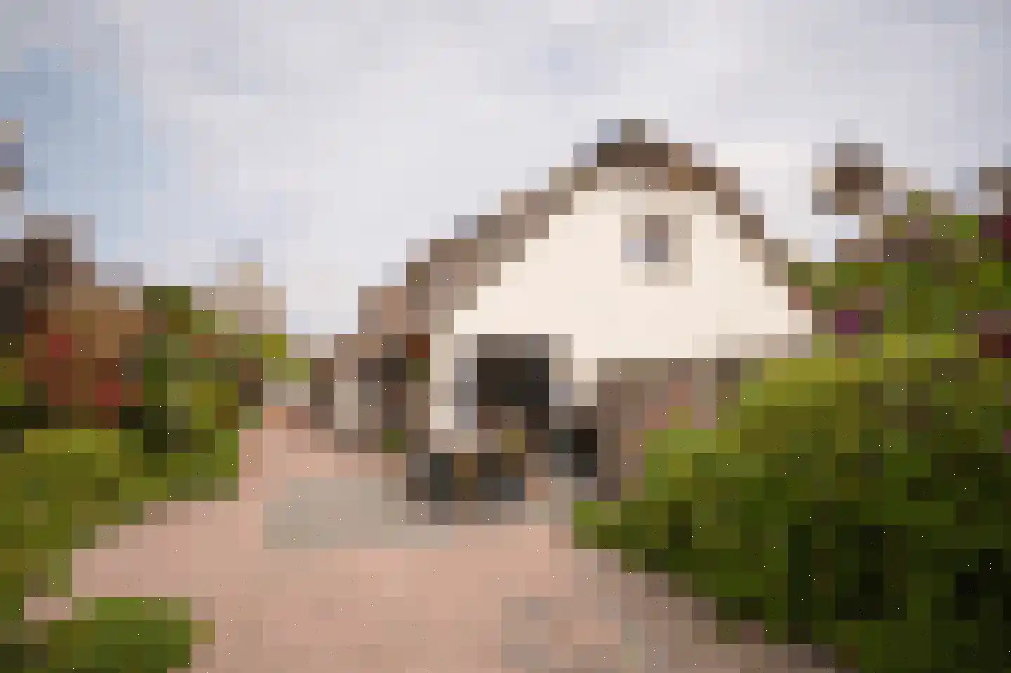 Alendorperweg 37 Vleuten thumbnail 41