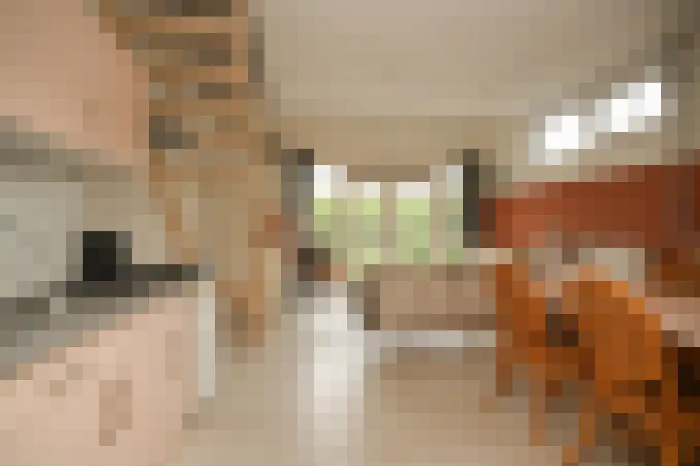 Alendorperweg 37 Vleuten thumbnail 44
