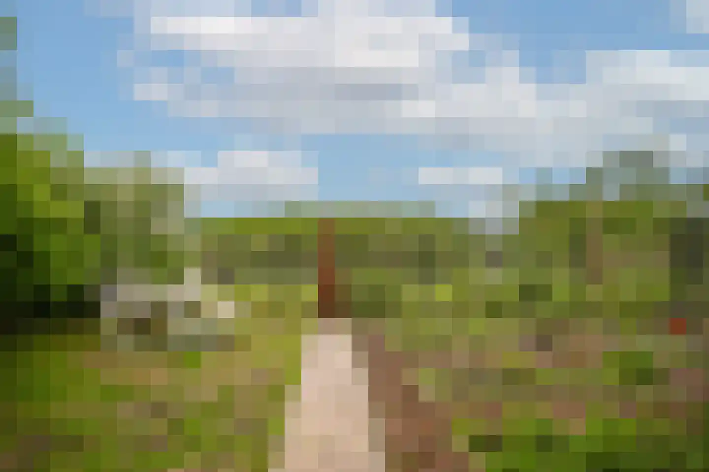 Alendorperweg 37 Vleuten thumbnail 48