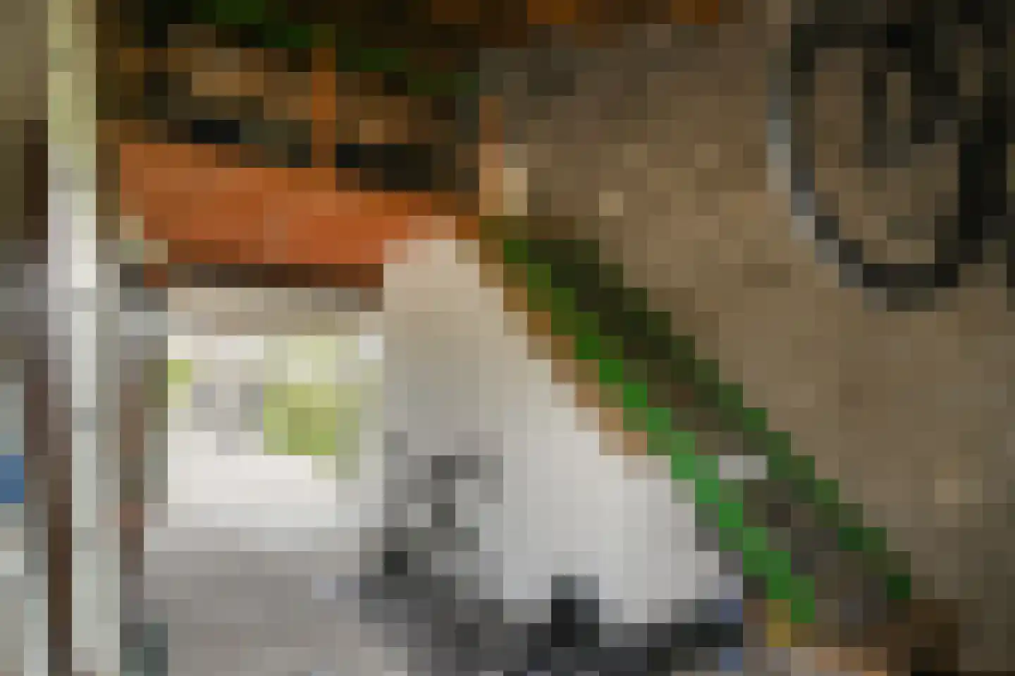 Alendorperweg 37 Vleuten thumbnail 54