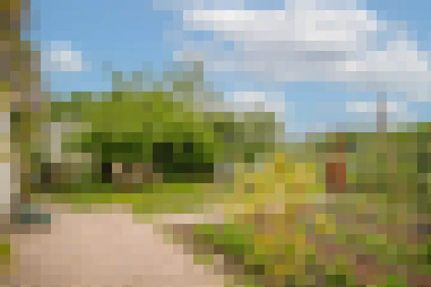 Alendorperweg 37 Vleuten thumbnail 56