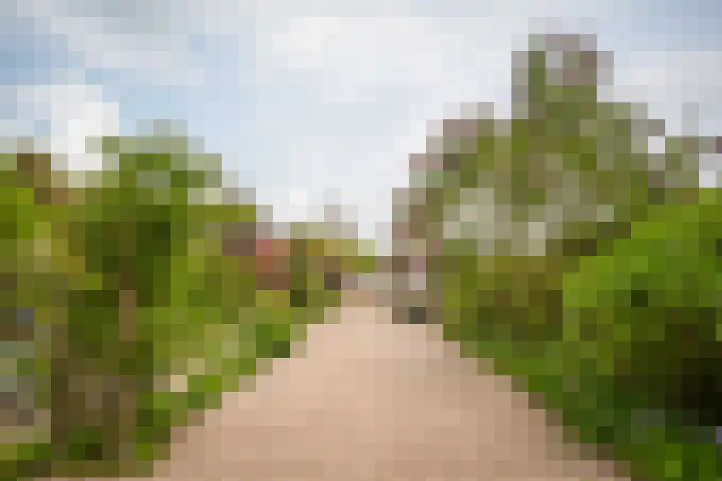 Alendorperweg 37 Vleuten thumbnail 61