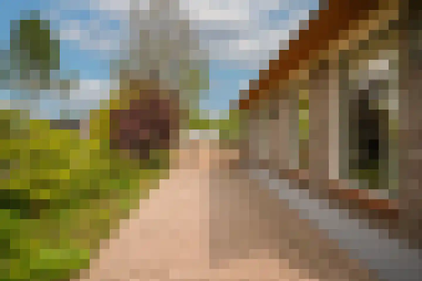Alendorperweg 37 Vleuten thumbnail 64