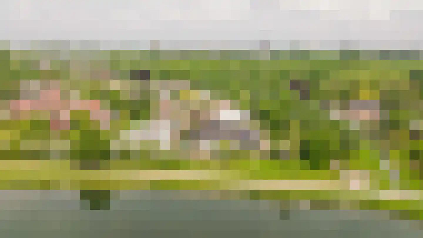 Alendorperweg 37 Vleuten thumbnail 68