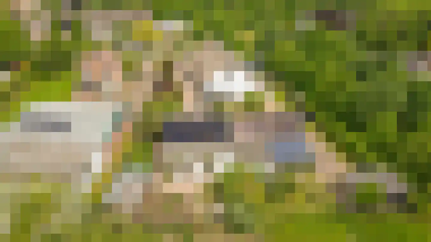 Alendorperweg 37 Vleuten thumbnail 69