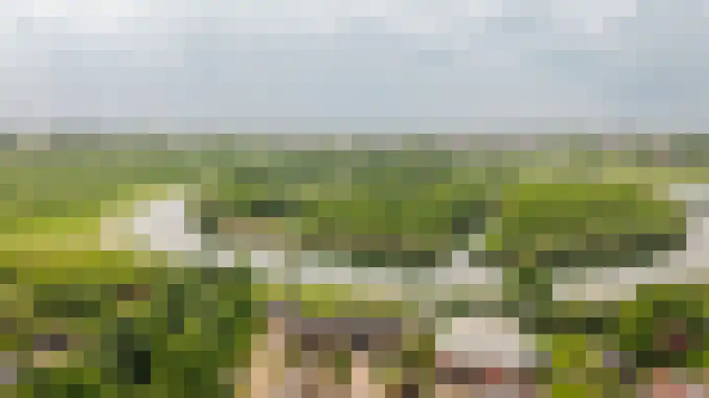 Alendorperweg 37 Vleuten thumbnail 73