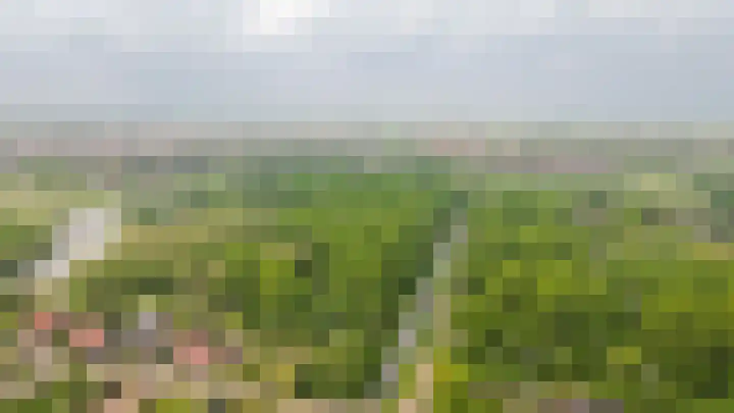 Alendorperweg 37 Vleuten thumbnail 74