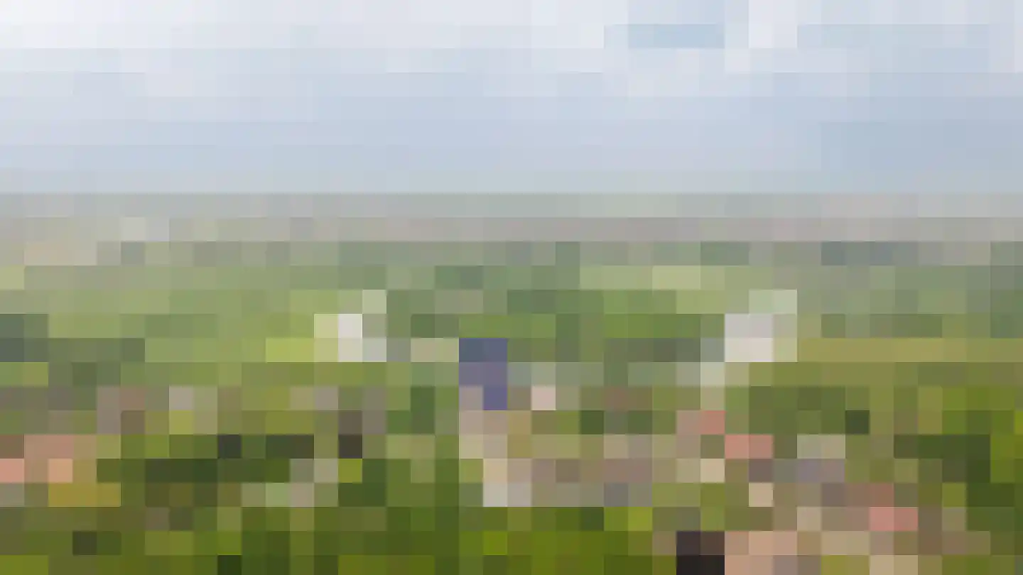 Alendorperweg 37 Vleuten thumbnail 75