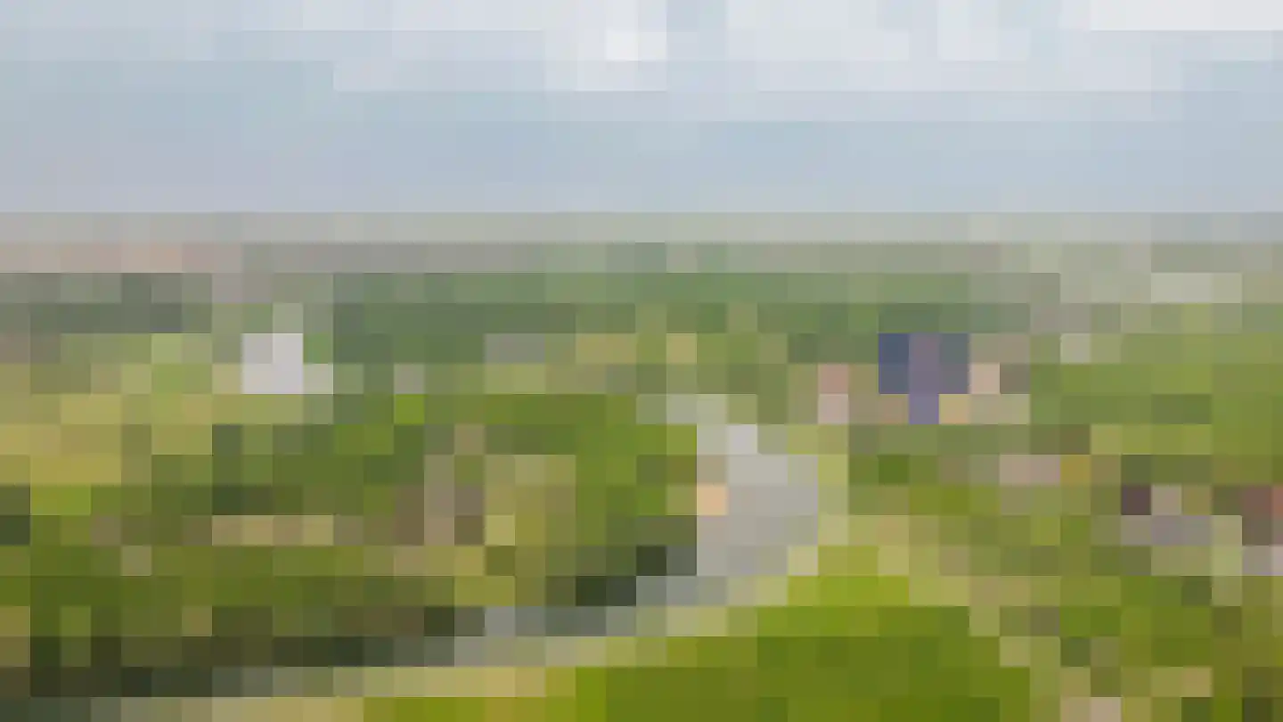 Alendorperweg 37 Vleuten thumbnail 76