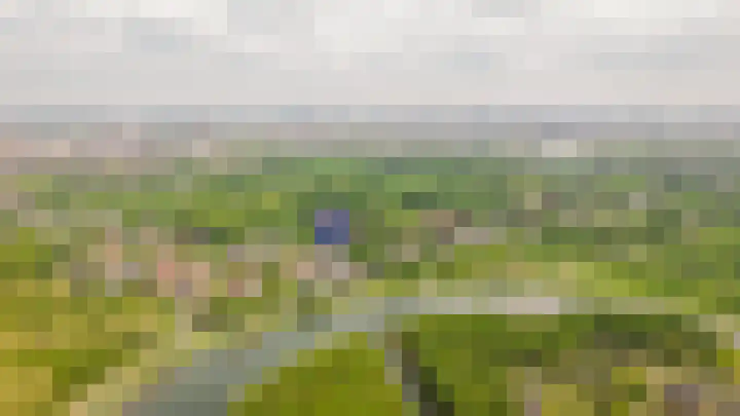Alendorperweg 37 Vleuten thumbnail 77