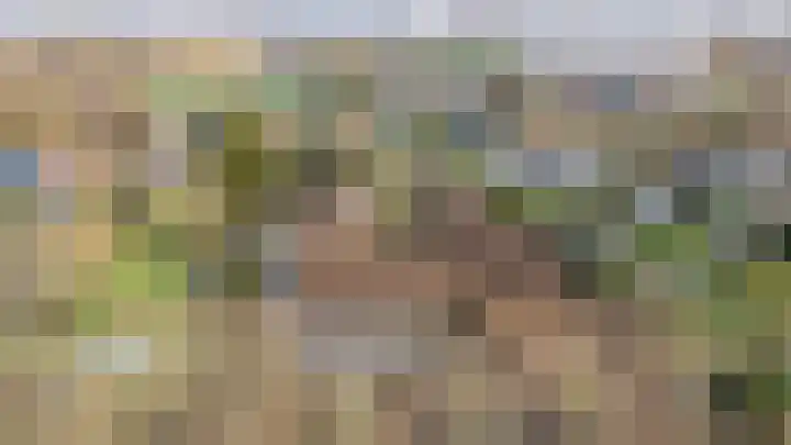 Alendorperweg 69 Vleuten thumbnail 10
