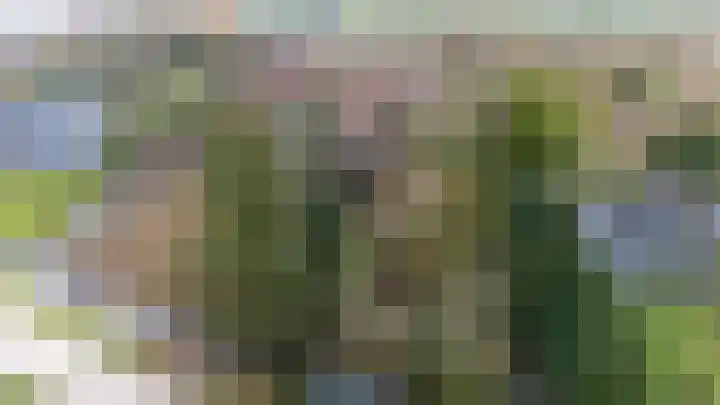 Alendorperweg 69 Vleuten thumbnail 5