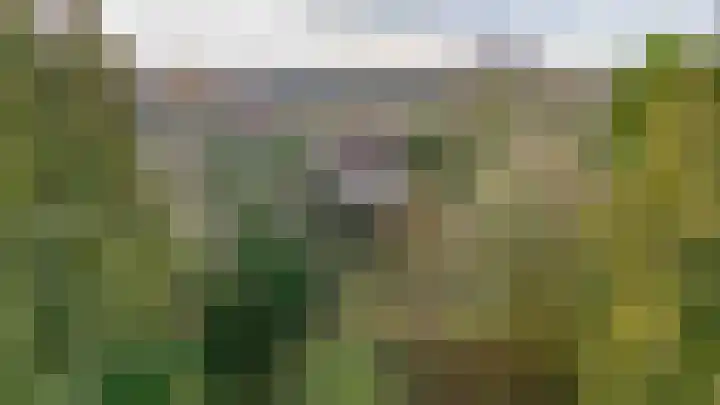 Alendorperweg 69 Vleuten thumbnail 6