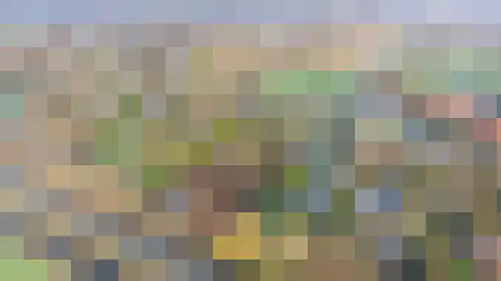 Alendorperweg 69 Vleuten thumbnail 8